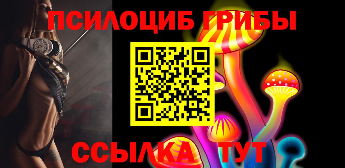 Фролово  Псилоцибиновые грибы мухоморы  Вход с VPN 